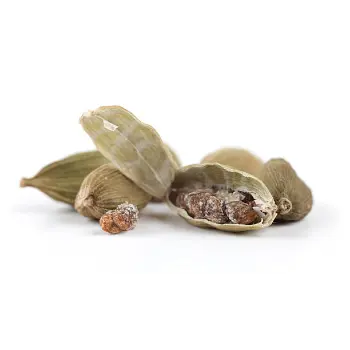  Fresh  Cardamom Seeds
